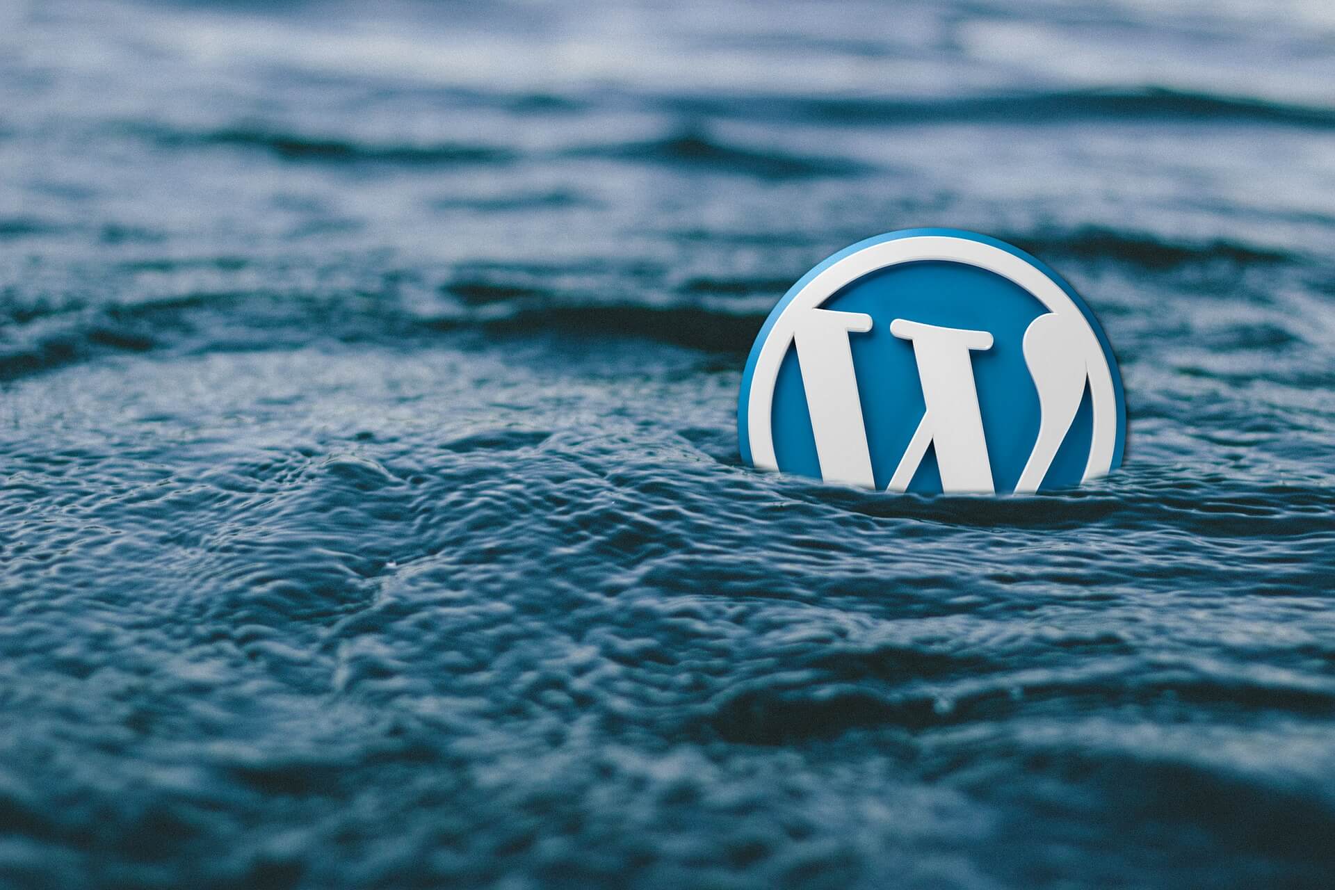 wordpress essential plugins